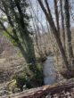 Objekt der 1000 Möglichkeiten sucht Liebhaber! - 8c946542-0a4a-44e0-b4d9-3a9d2a