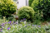 Hübsches Einfamilienhaus in bester Wohnlage! - imagecrop.de-_37A5020